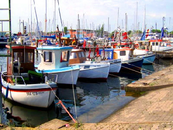 Fischerei Hafen in Travemnde