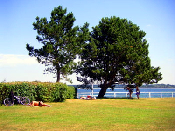 Grn Strand in Travemnde Liegewiese an der Ostsee